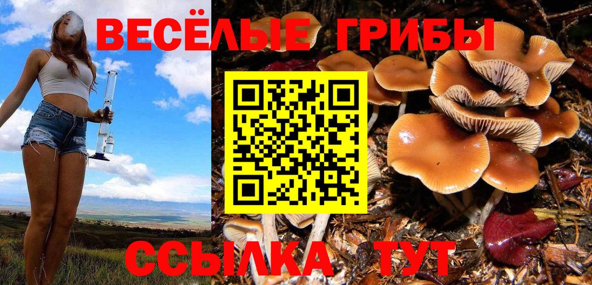 Псилоцибиновые грибы MAGIC MUSHROOMS Нижневартовск